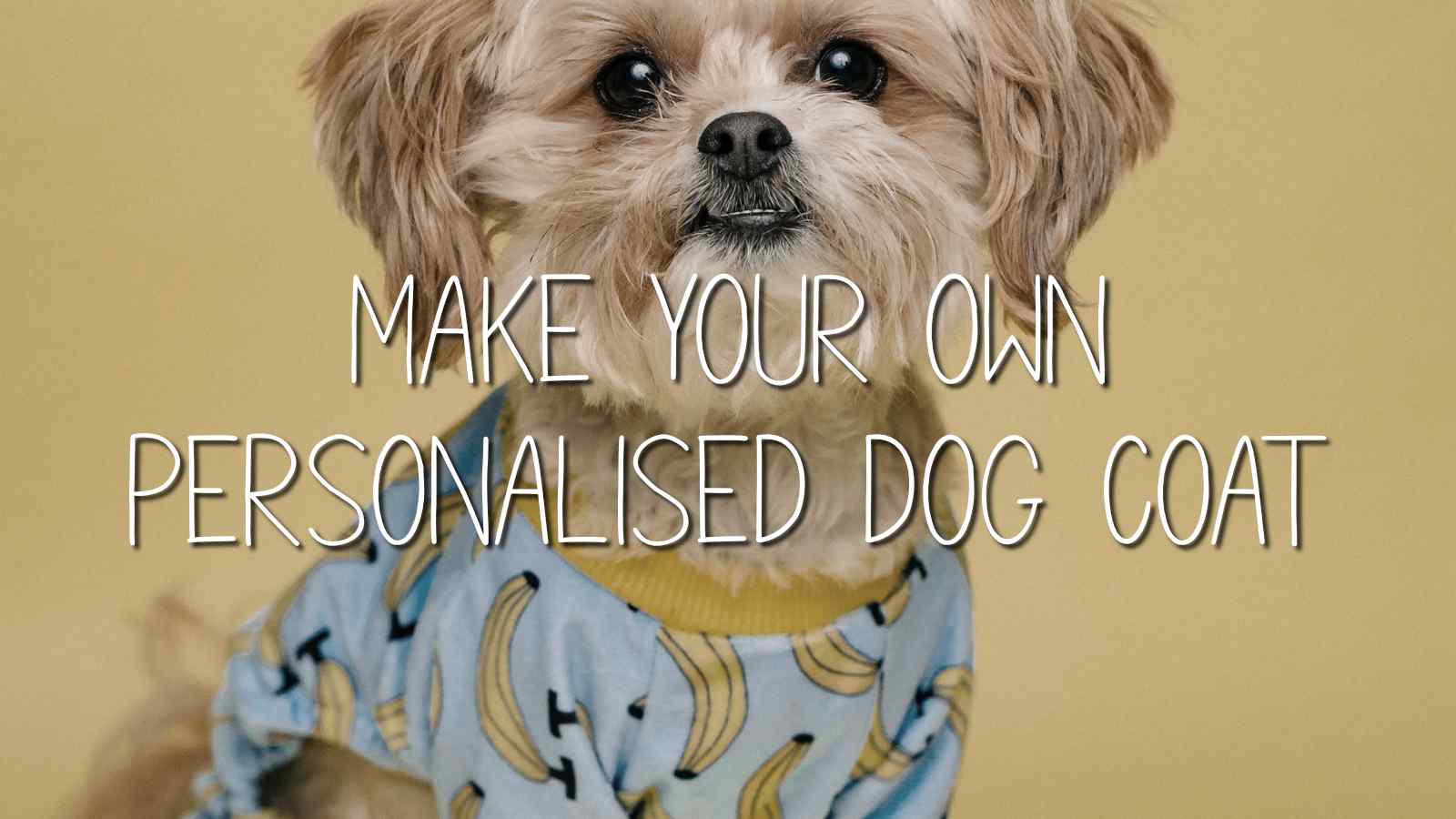 Make your own Personalised Dog Coat / Clothing